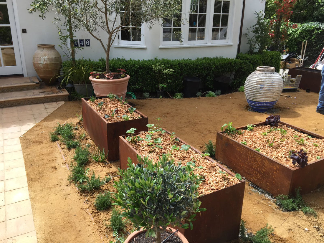 Cor-ten Steel Garden Beds: What Every Home Gardener Should Know