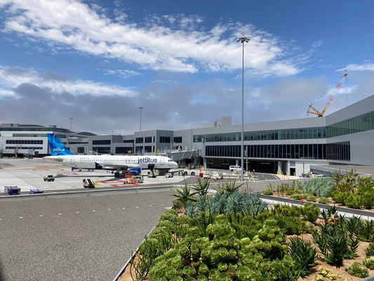 Green Roof at the Harvey Milk Terminal of the San Francisco International Airport