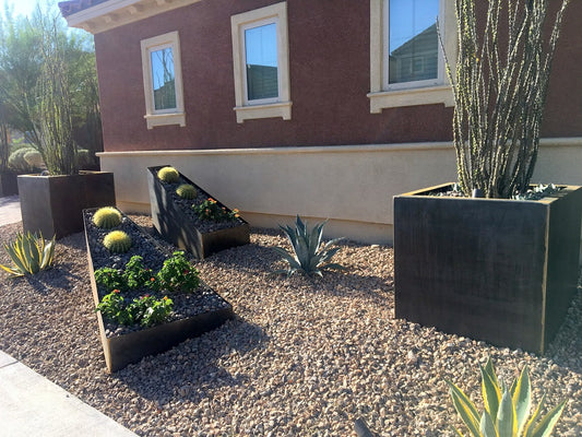 Using Cor-ten planters to create a desert garden