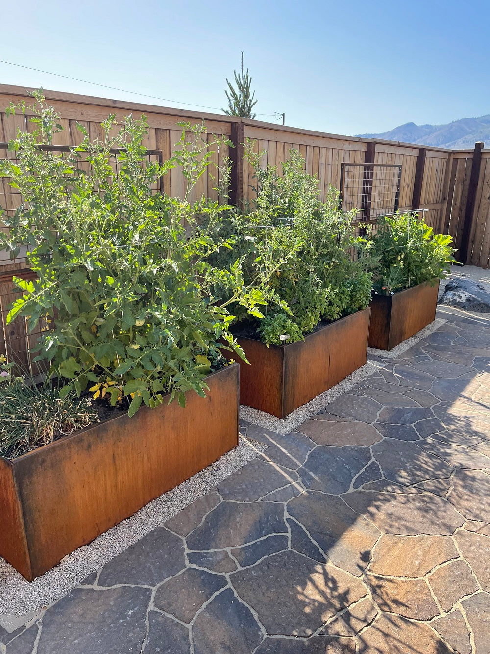 Stone Paver Patio With Corten Steel Planters