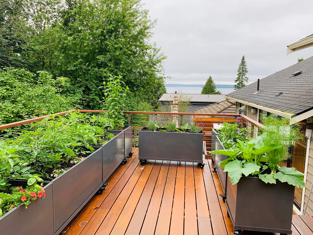 Aluminum Trough on Casters