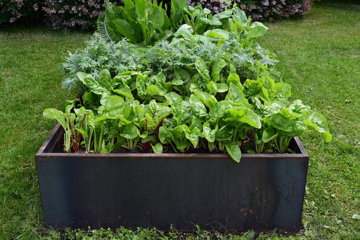 NiceR Corten Planter Bed