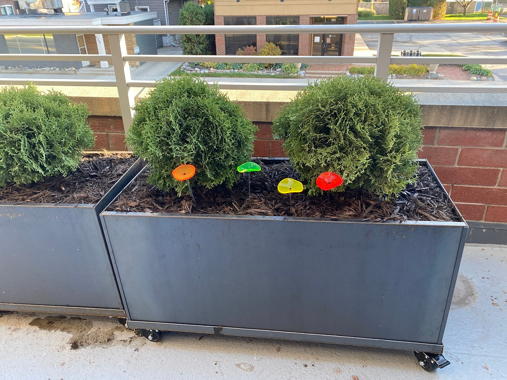 Corten Trough on Casters