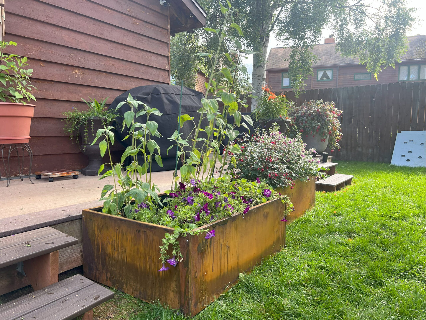 Extra Wide Corten Steel Planter Trough