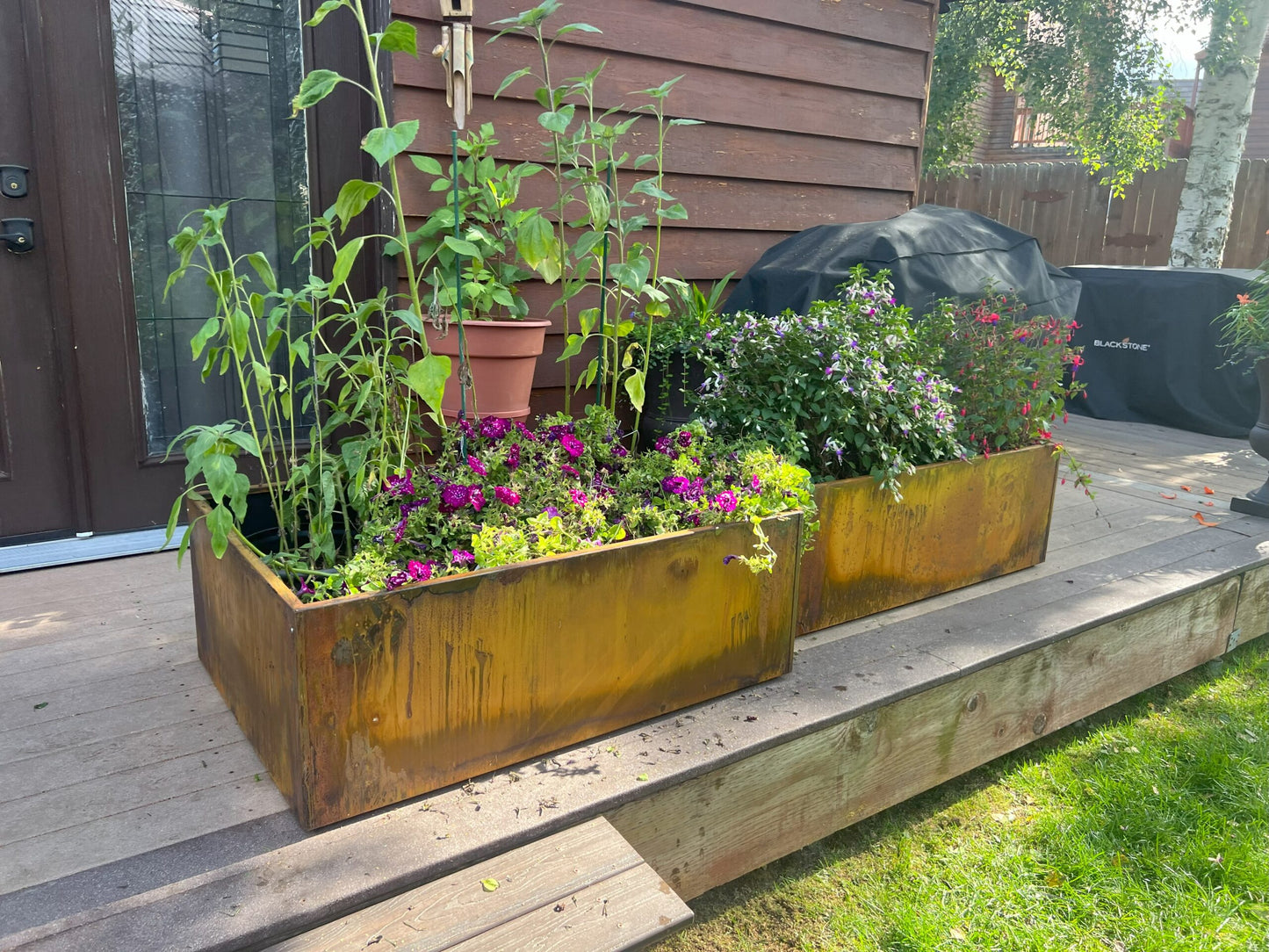 Extra Wide Corten Steel Planter Trough