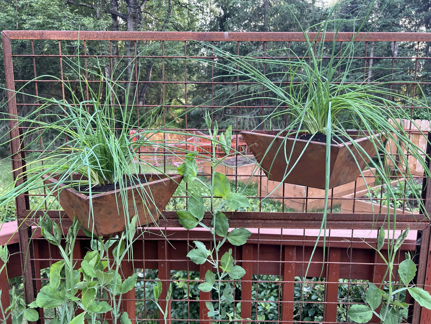 Wall and Trellis Planters