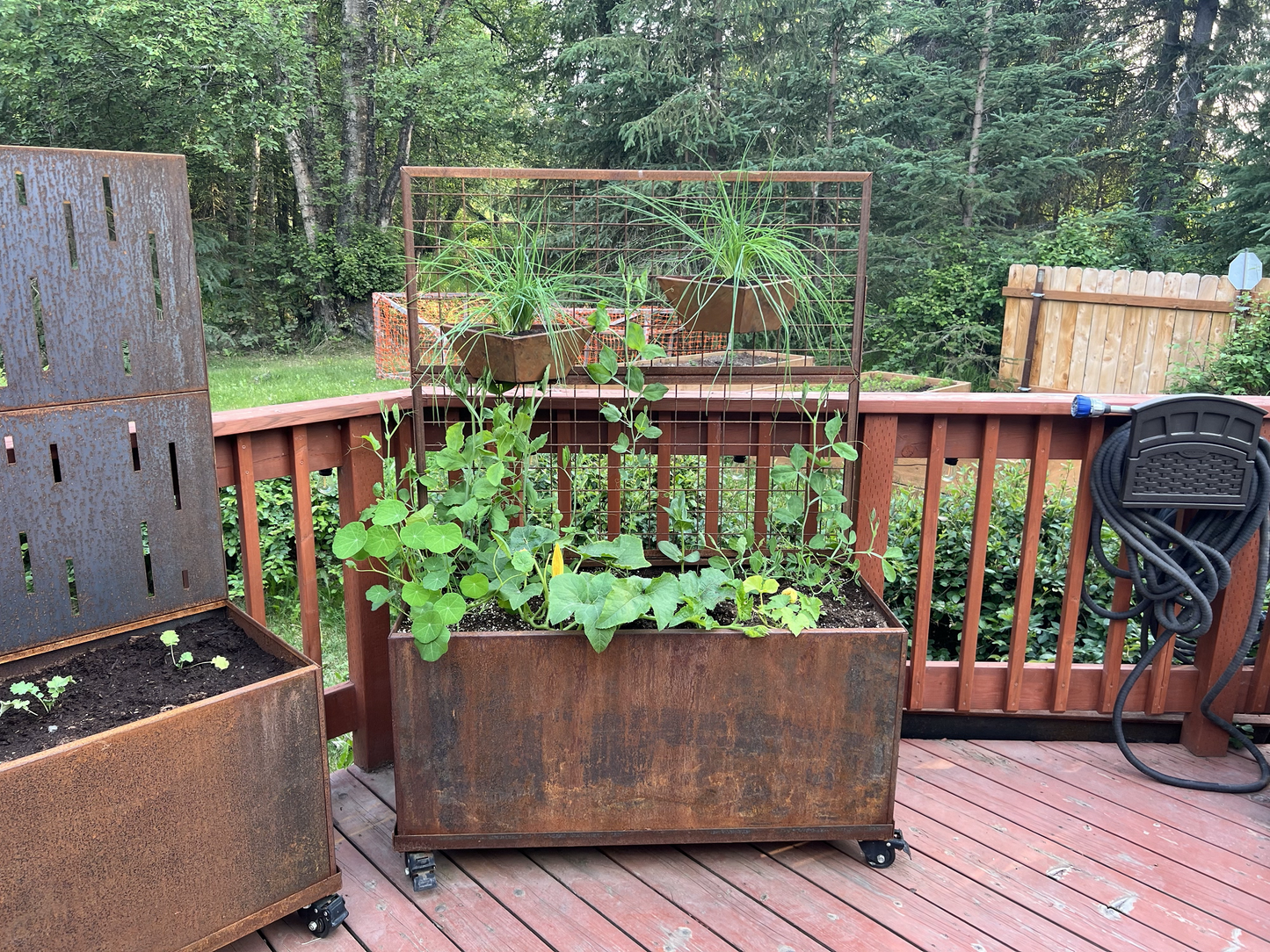 Wall and Trellis Planters